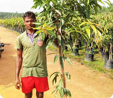 Vijaya Lakshmi Nursery